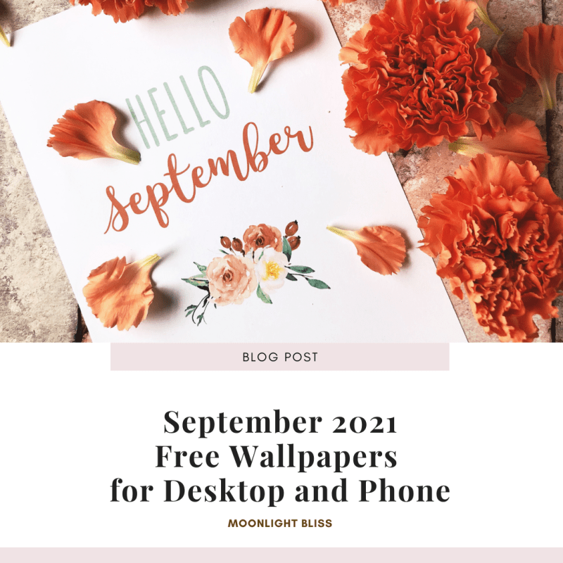 Free Autumn Wallpapers for Desktop and&nbsp;Phone